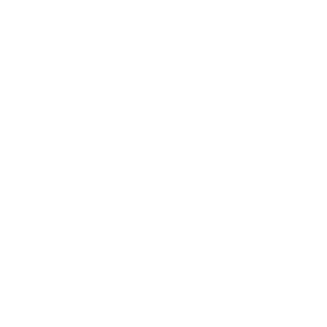 cabin icon